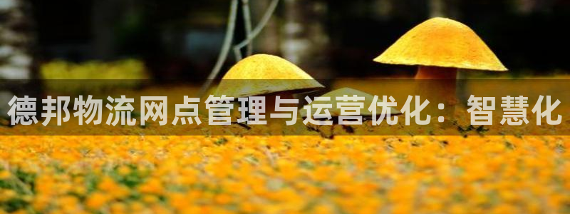 usdt如何提现到微信