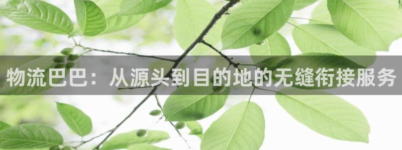 usdt钱包 trc20