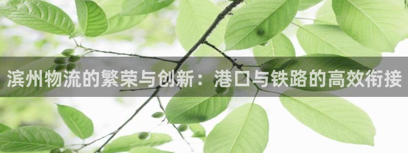usdt钱包 trc20