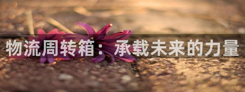 usdt资产截图
