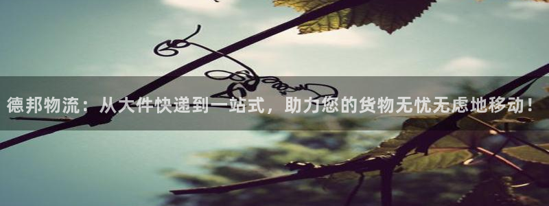 Usdt钱包设置了人脸用助记词还能打开么?