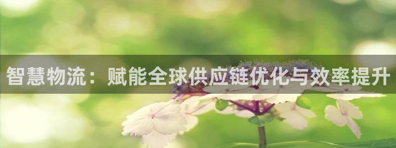 usdt官方最新版本更新内容