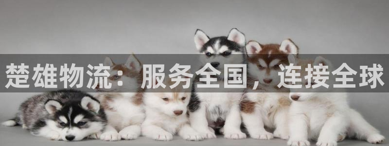 usdt交易提现会封吗