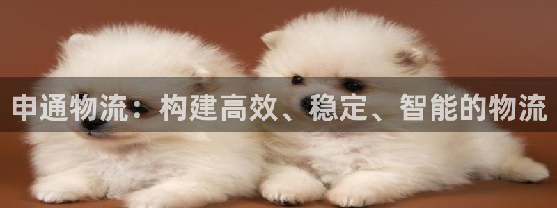 usdt有什么风险