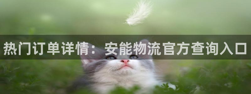 usdt官网api