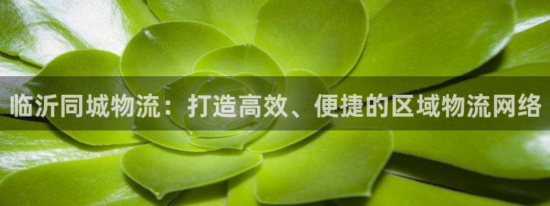 usdt钱包被授权了