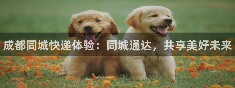 usdt干嘛用的