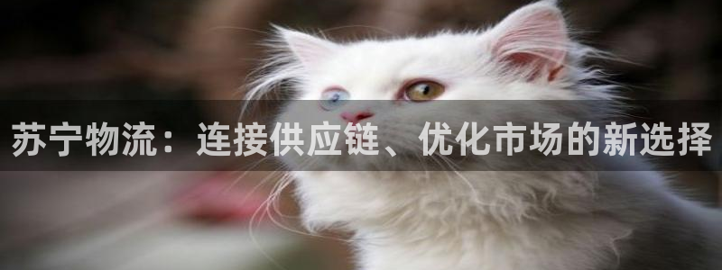 货币usdt收款地址怎么弄