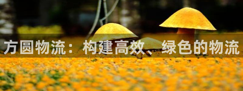 usdt用什么交易所