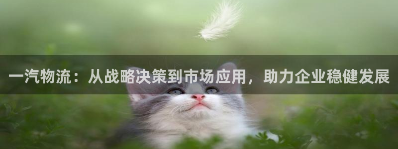 下载usdt钱包