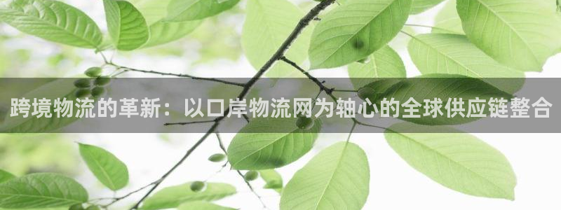usdt钱包地址名称怎么填