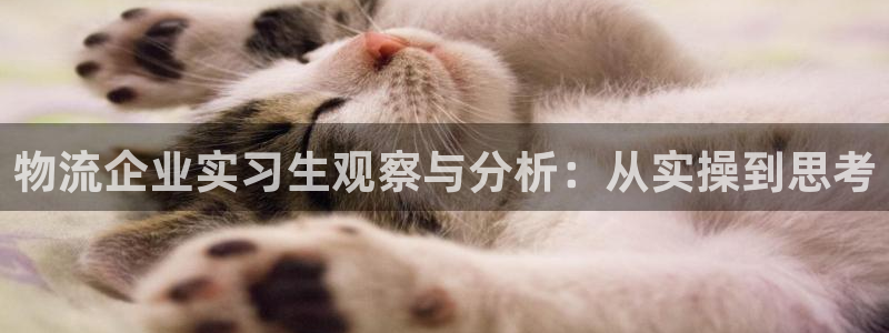 下载usdt钱包绿色