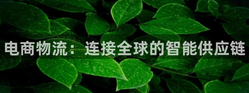 usdt转入钱包