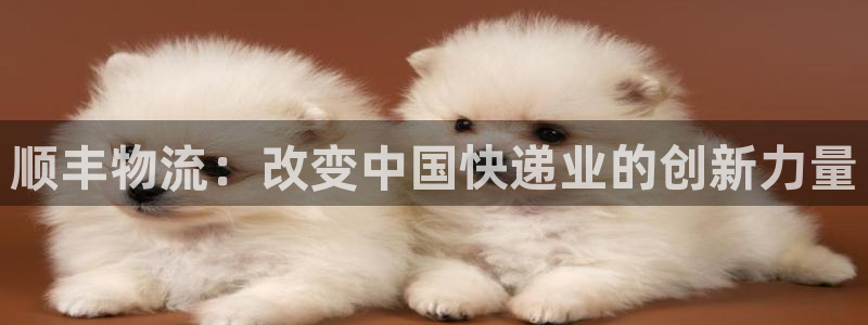 usdt钱包地址批量怎么生成