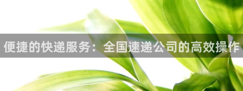 usdt钱包余额查询