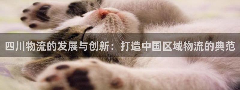 usdt的钱包模拟器