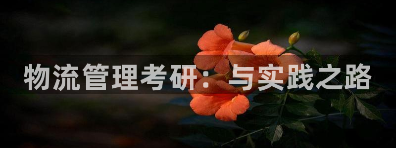 如何充值usdt omni