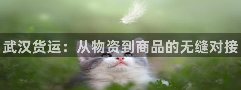 usdt的好处