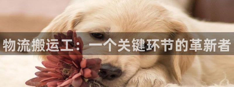 usdt怎么开户教程