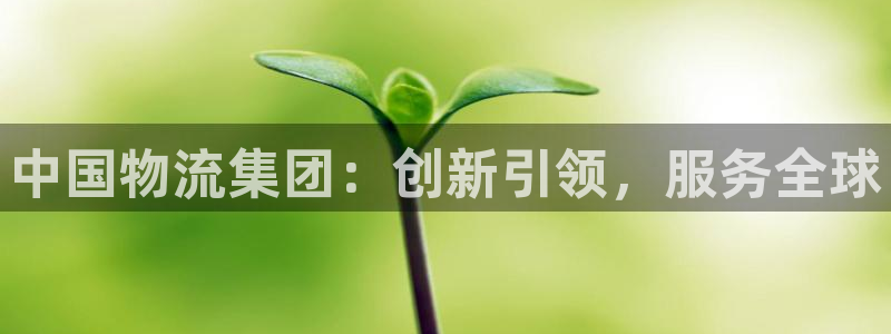 为什么usdt被冻结
