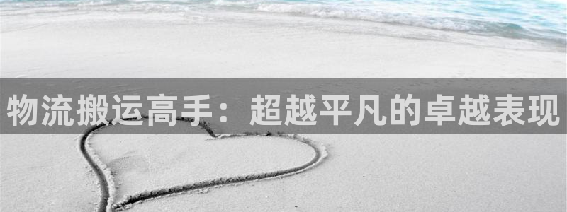 usdt可以转到什么钱包：物流搬运高手：超越平凡的卓越表现