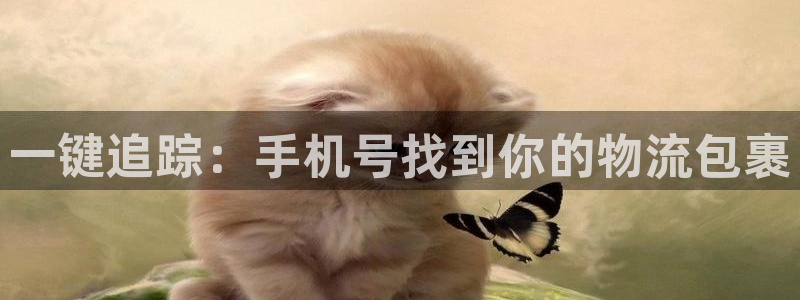 usdt链名称怎么选择