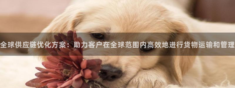 usdt钱包余额截图改动软件